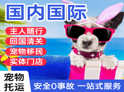 江北空运代理国际宠物托运 【国